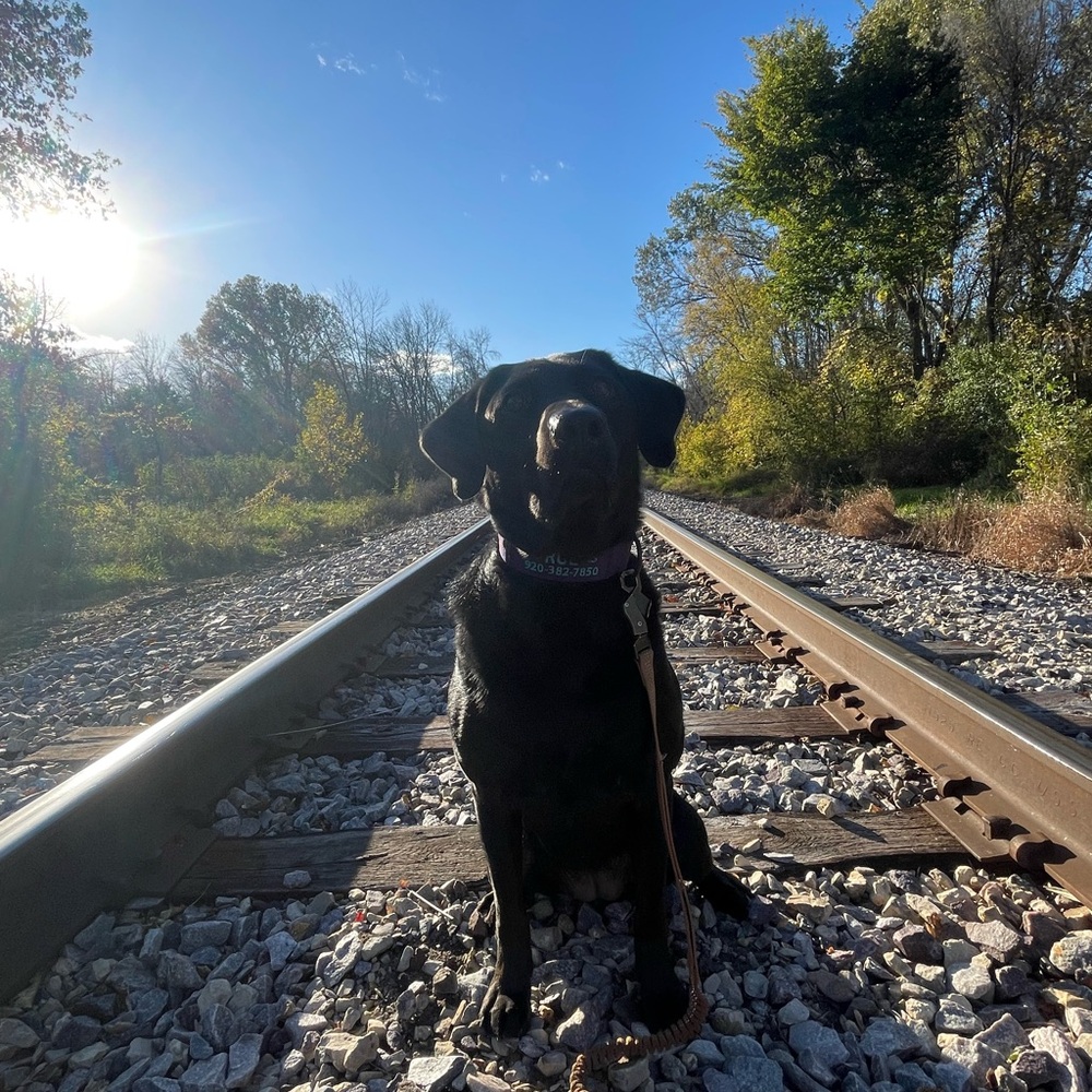 Meet your Posher, Emily